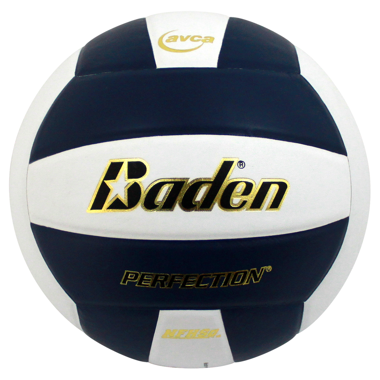 Baden Perfection VX5E Volleyball