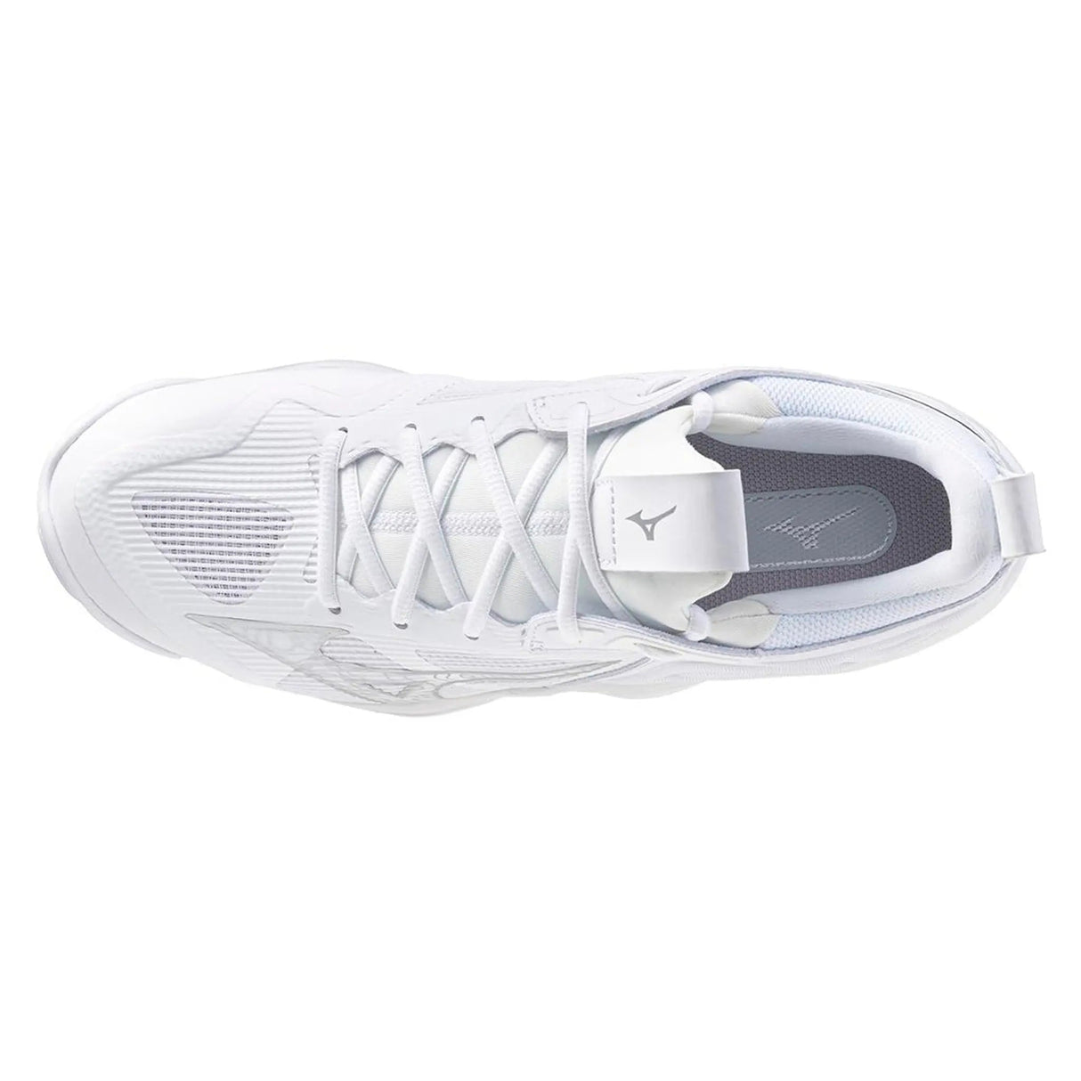 Mizuno Men's Wave Momentum 3 Volleyball Shoe Mizuno