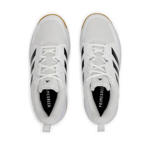 adidas Women's Ligra 7 Volleyball Shoe Adidas