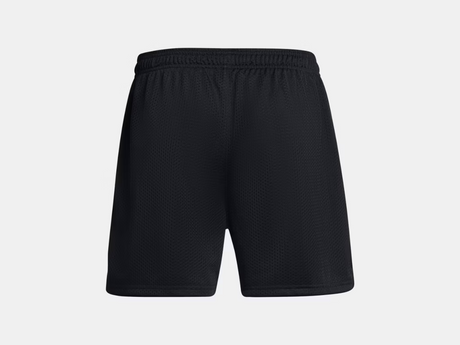 Men's UA Icon Mesh Shorts black 3
