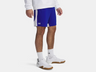 Men's UA Tech Vent Shorts - 7'' inseam Royal - 1