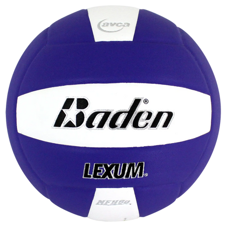 Baden Lexum VX450 Microfiber Volleyball Baden Sports