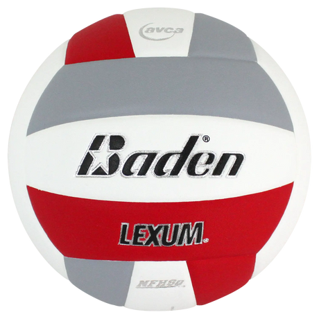 Baden Lexum VX450 Microfiber Volleyball Baden Sports