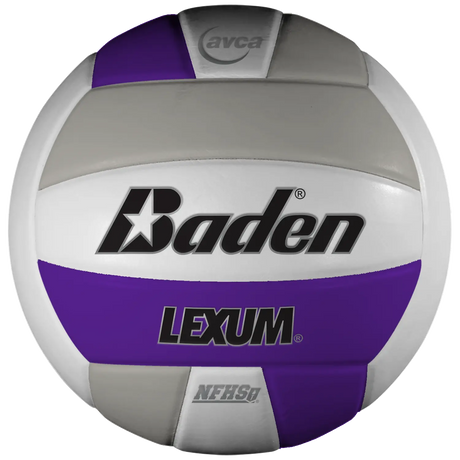 Baden Lexum VX450 Microfiber Volleyball Baden Sports