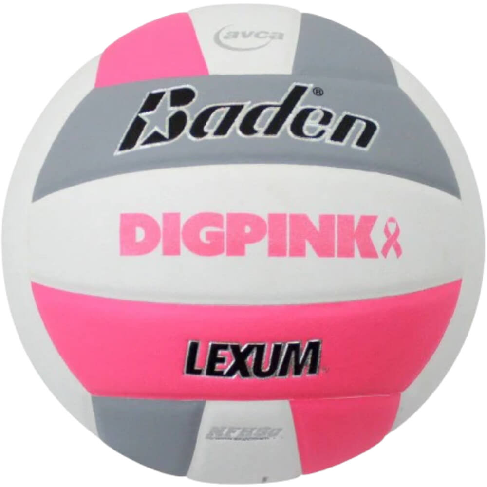 Baden Lexum VX450 Microfiber Volleyball