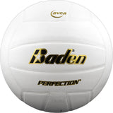 Baden Perfection VX5E Volleyball