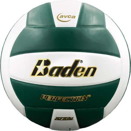 Baden Perfection VX5E Volleyball