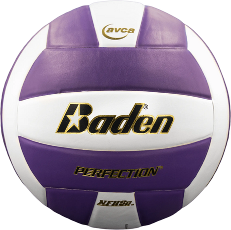Baden Perfection VX5E Volleyball Baden Sports